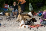 33 FC-Treffen